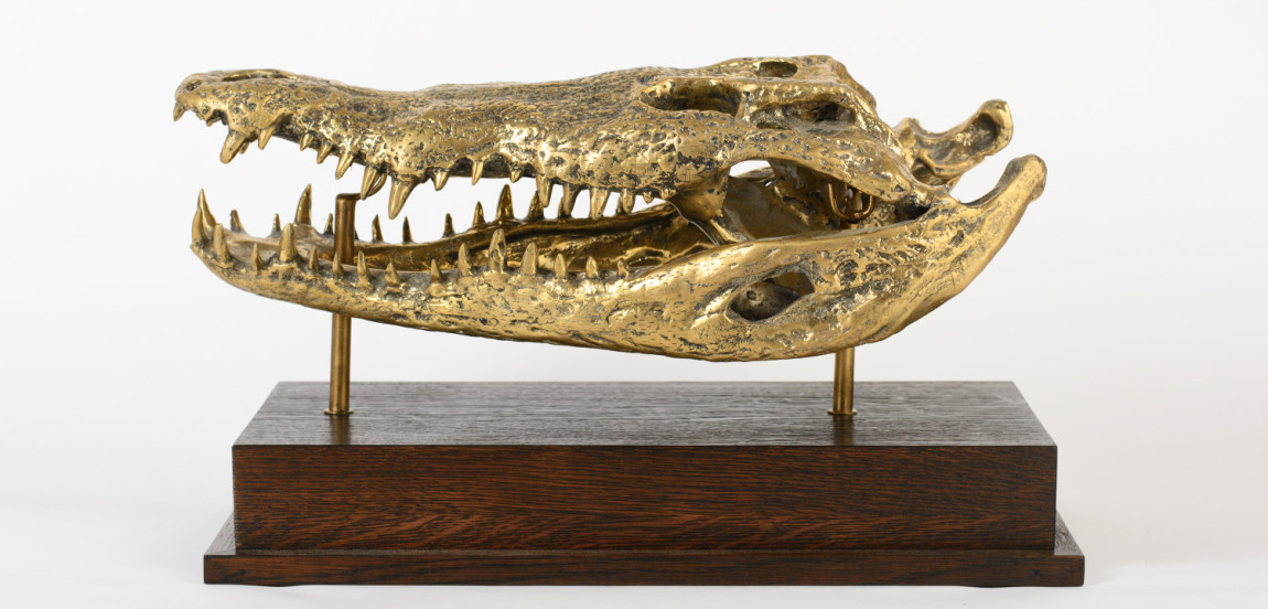 Череп Крокодила Латунь