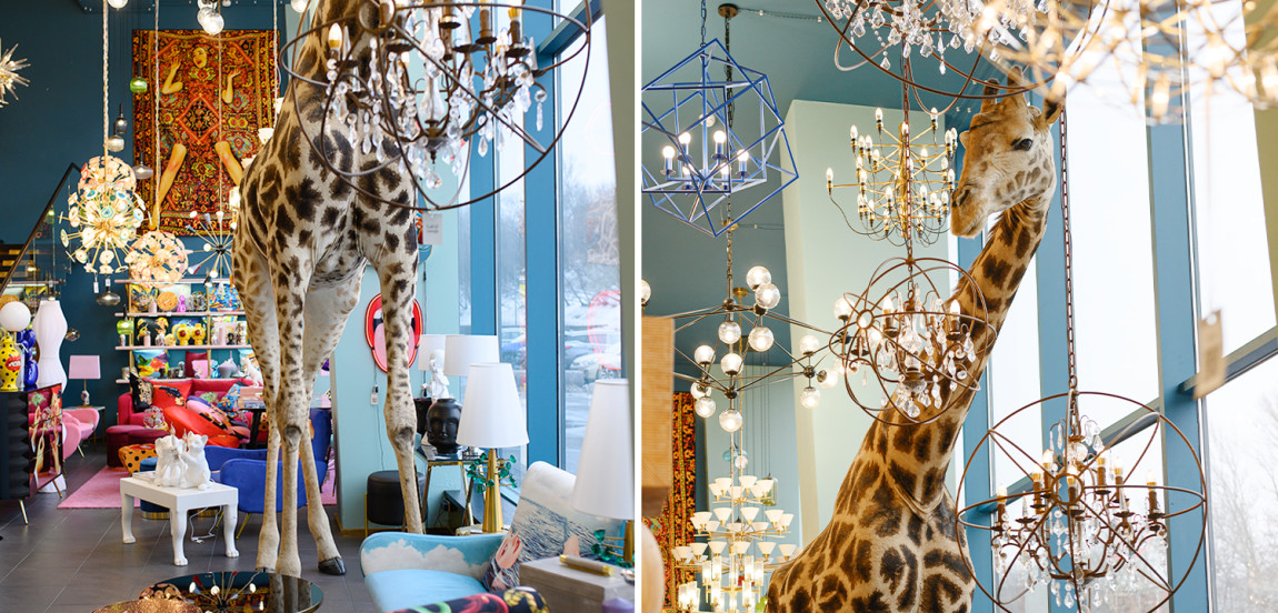 Чучело жирафа Масайский Жираф таксидермия