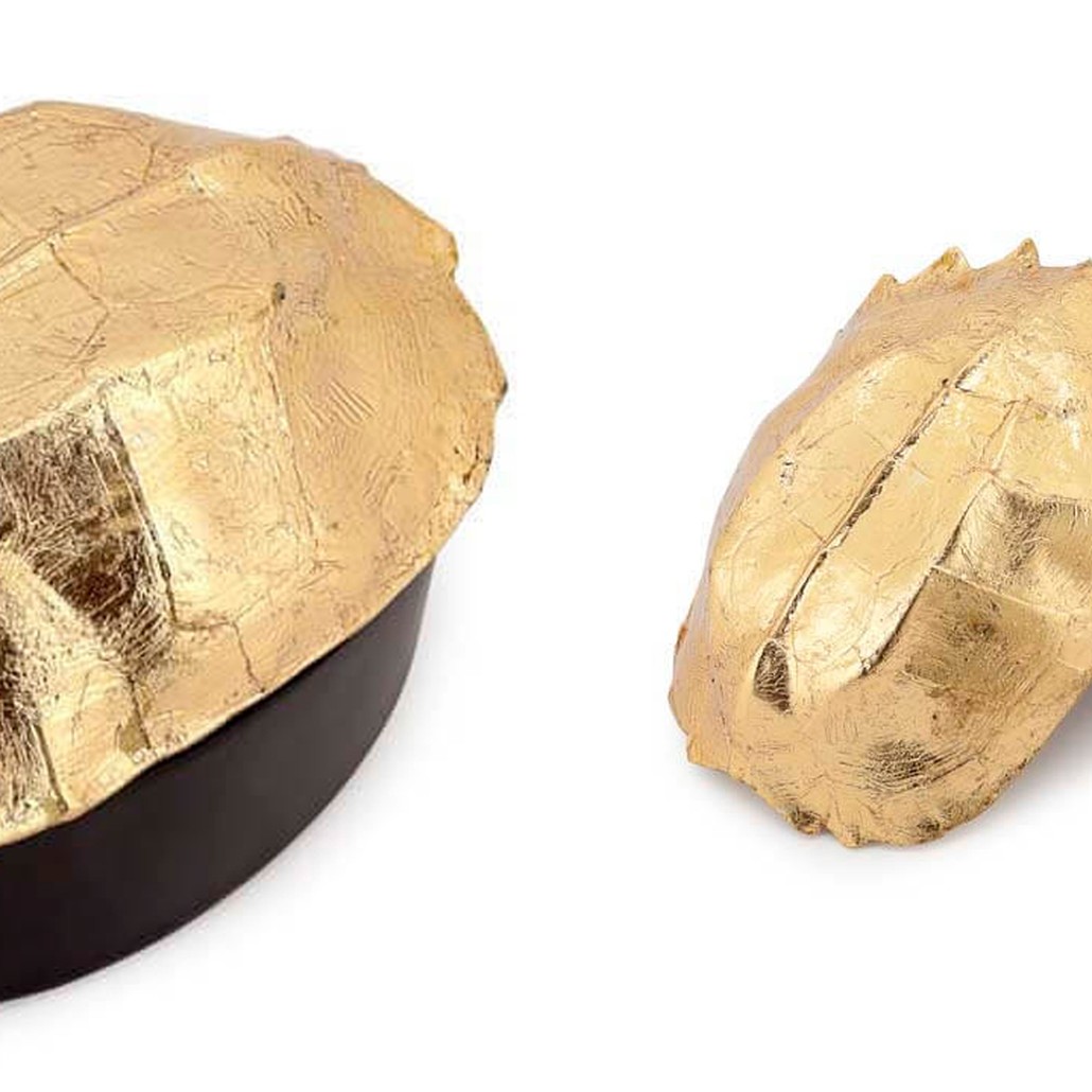 Шкатулка BOX TURTLE