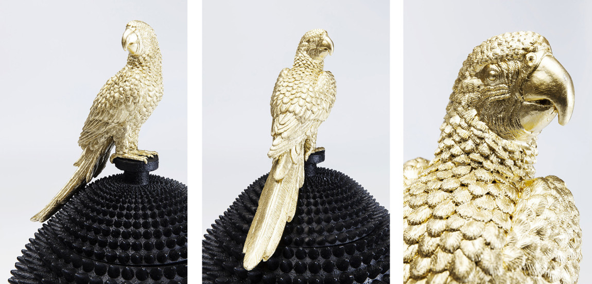 Шкатулка Parrot