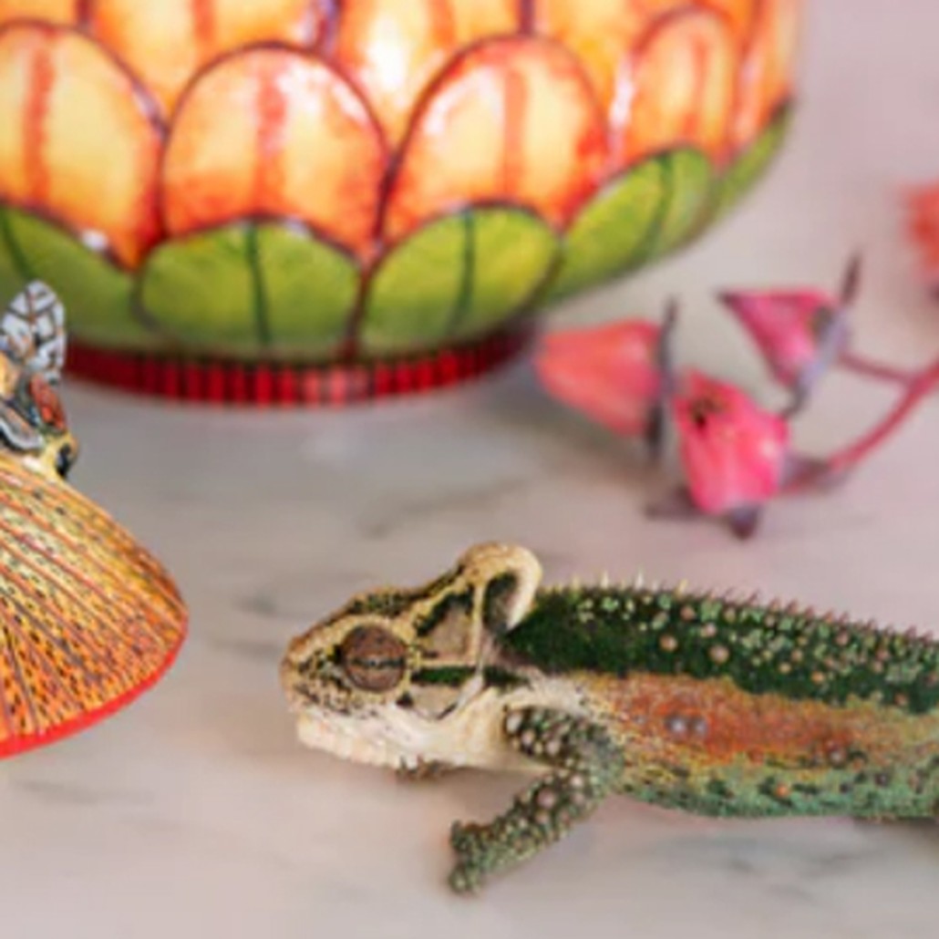 Шкатулка Хамелеон Chameleon on Floral Box