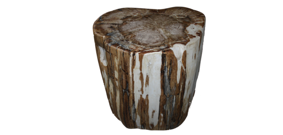 Стул из окаменелого дерева SWS002