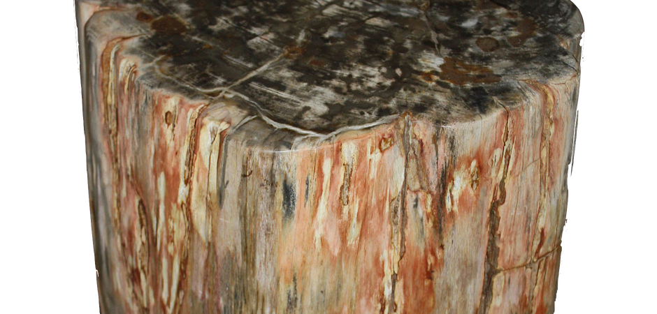 Стул из окаменелого дерева SWS003