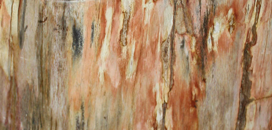 Стул из окаменелого дерева SWS003