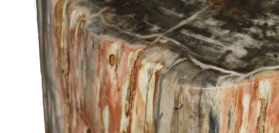 Стул из окаменелого дерева SWS003