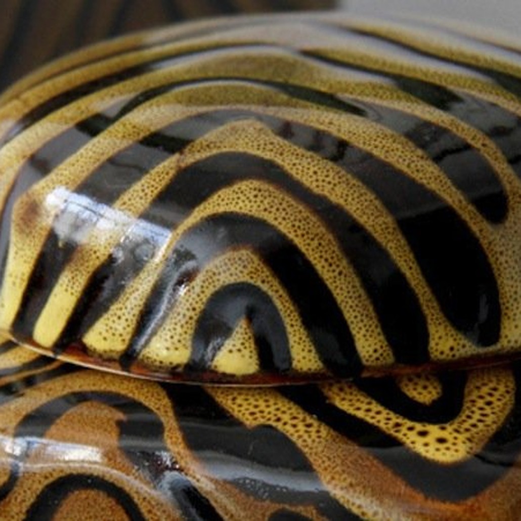 Ваза Wild print