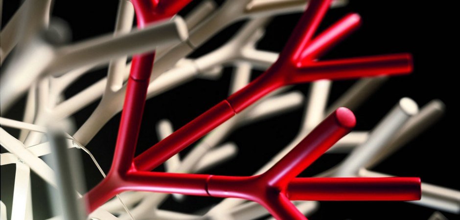 Настольная лампа Pallucco Coral