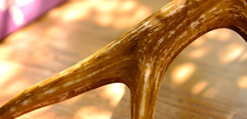 Торшер Pride of England