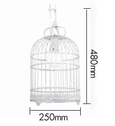 Подвесной светильник Bird Cage