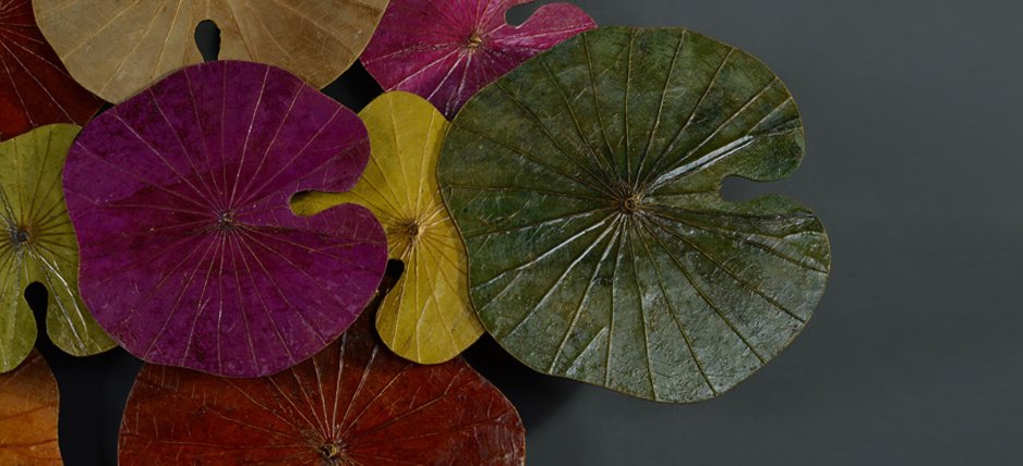 Арт-объект Disc wall art Lotus leaves II