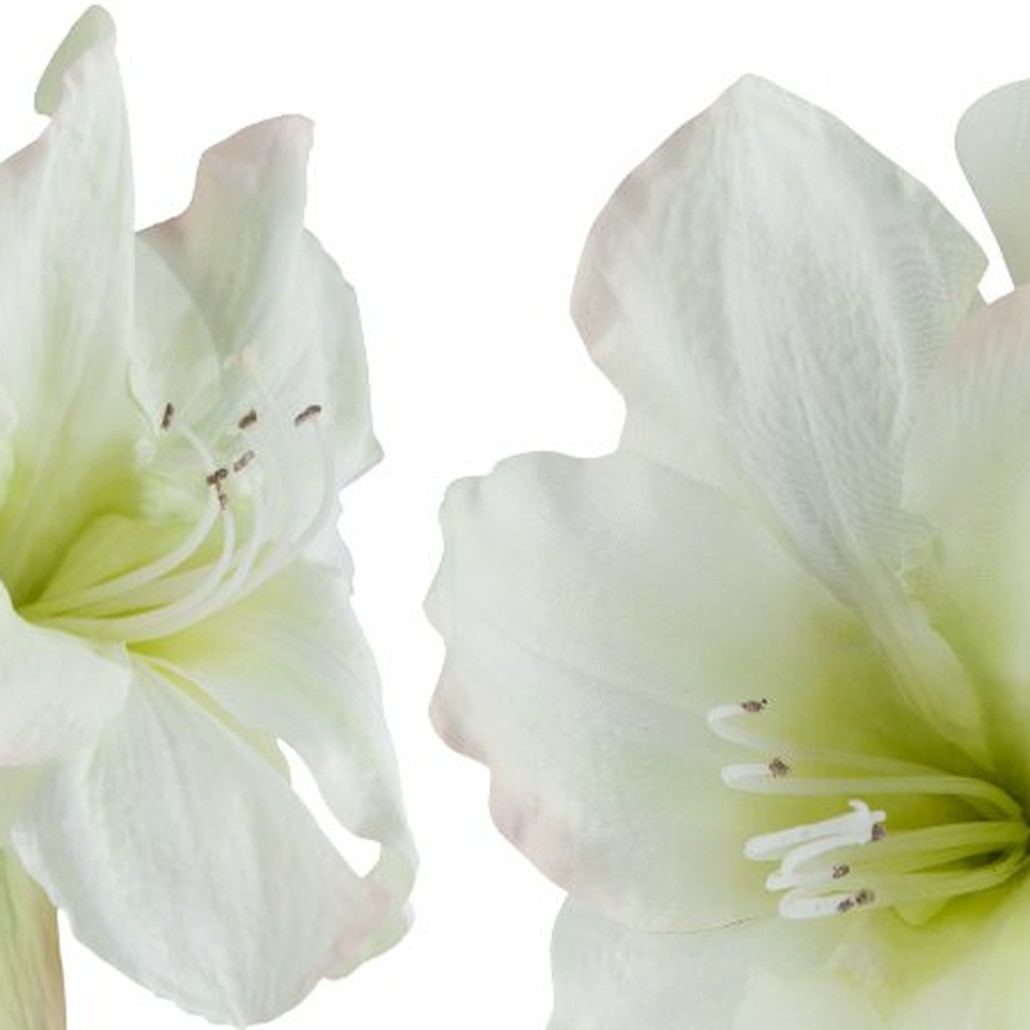 Декоративный искусственный цветок Big White Flower