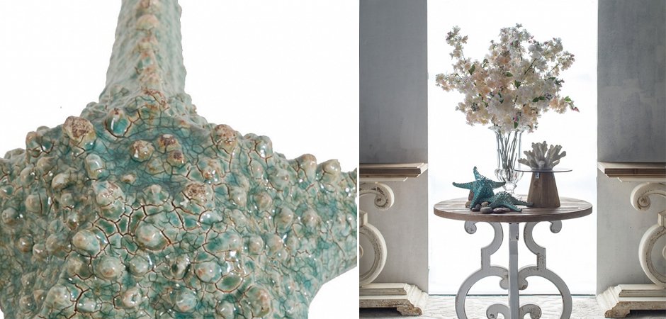 Аксессуар Starfish