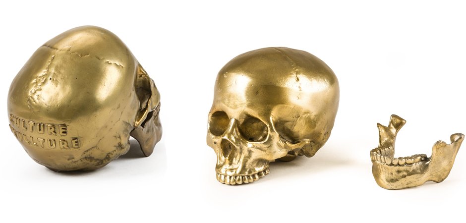 Статуэтка Seletti Wunderkrammer Human Skull