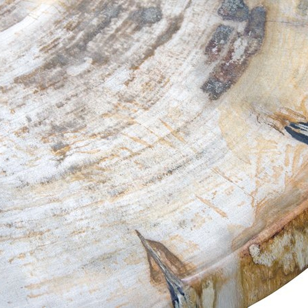 PETRIFIED WOOD COFFEETABLE M Окаменелое дерево