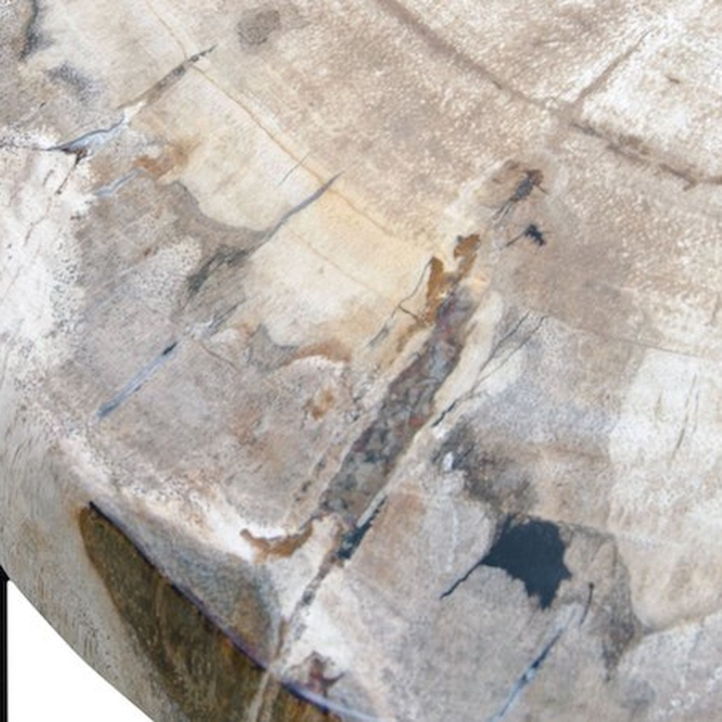PETRIFIED WOOD COFFEETABLE S Окаменелое дерево