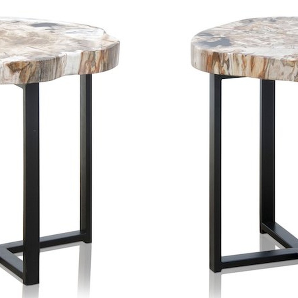 PETRIFIED WOOD COFFEETABLE S Окаменелое дерево