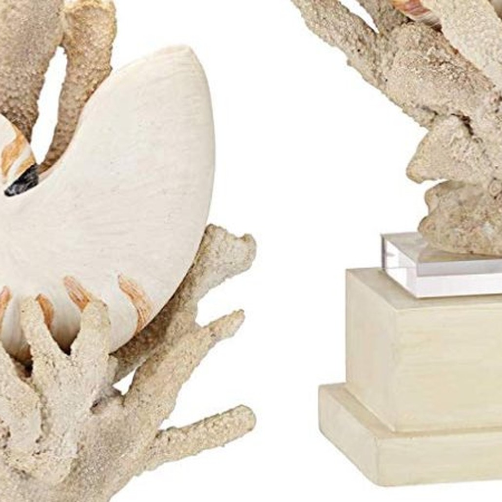 Nautilus Shell and White Coral Table Lamp