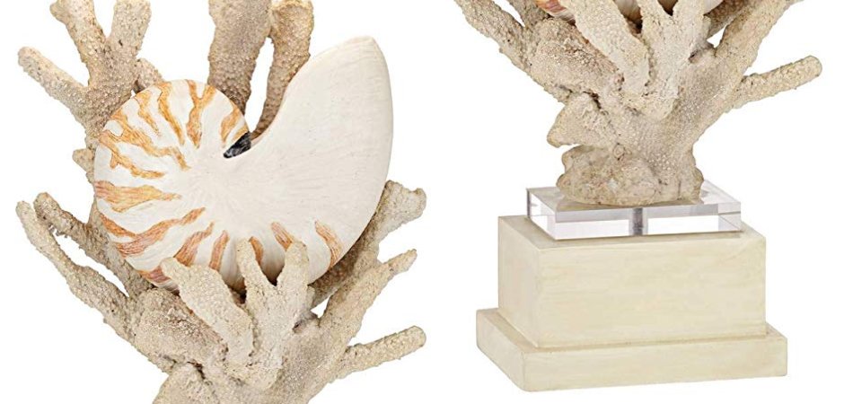 Nautilus Shell and White Coral Table Lamp