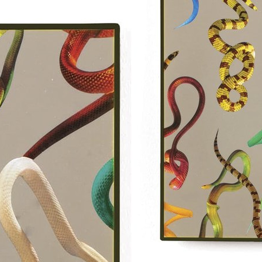 Зеркало Seletti Mirror Medium Snakes