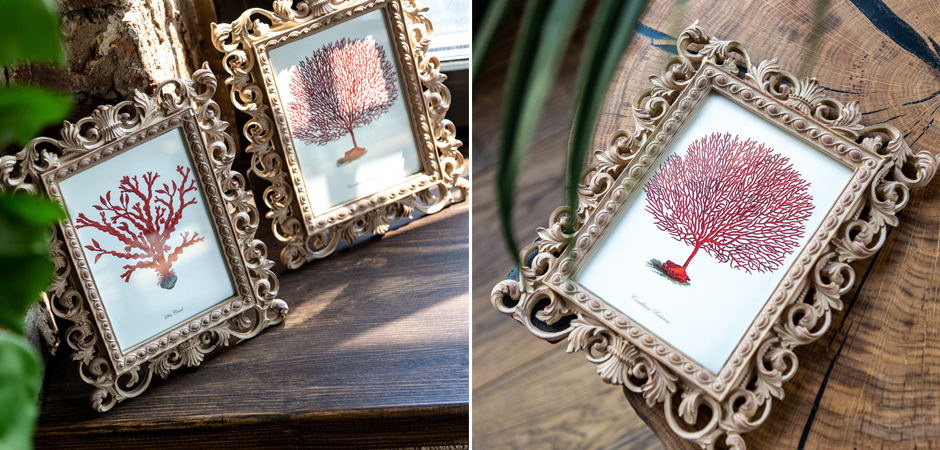 Постер Red Coral Poster 3