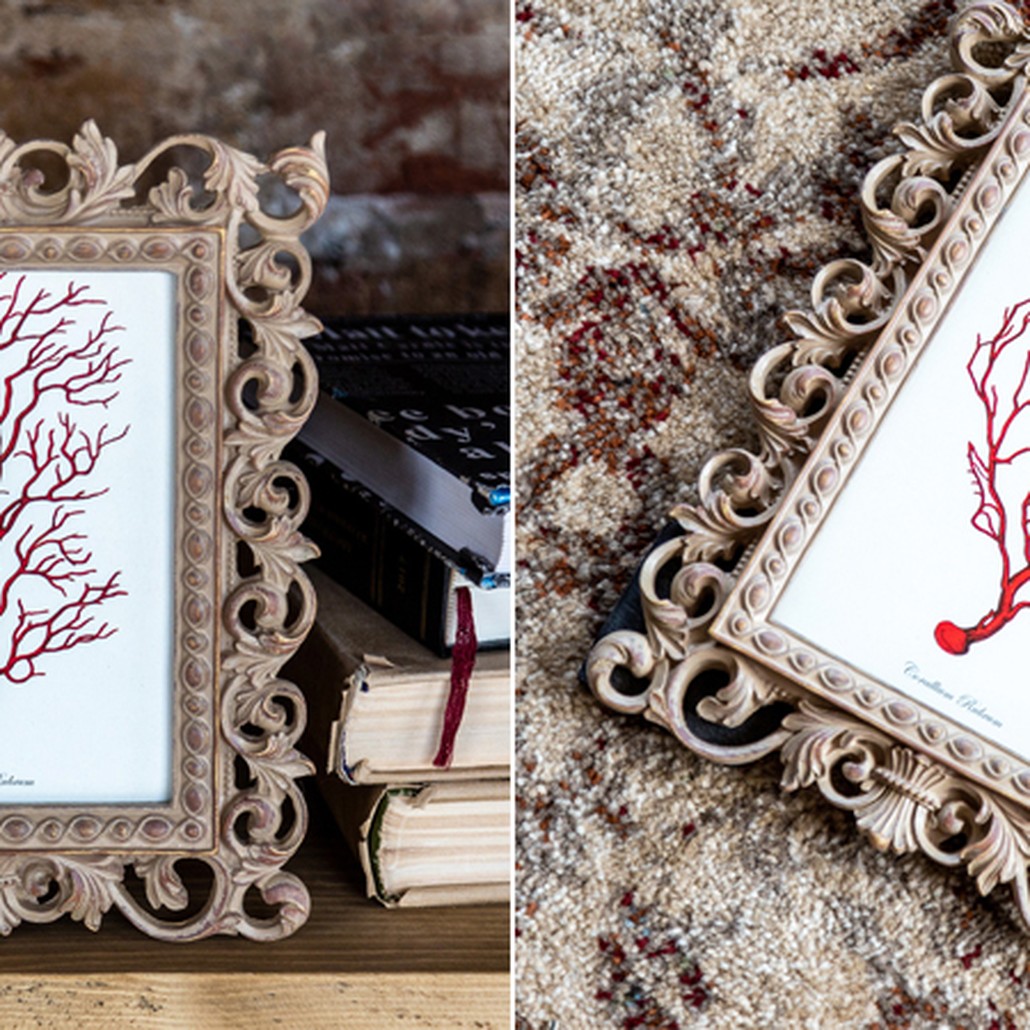 Постер Red Coral Poster 4