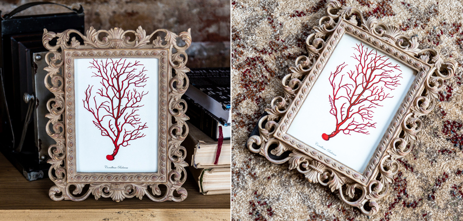 Постер Red Coral Poster 4