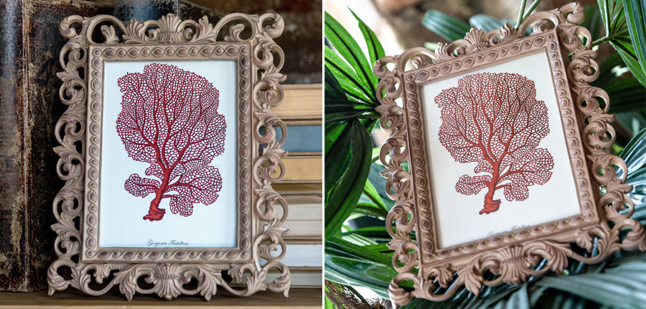 Постер Red Coral Poster 5