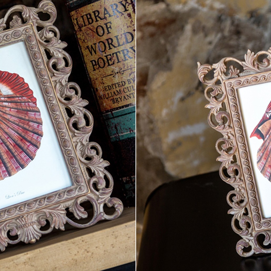 Постер Scarlet Scallop