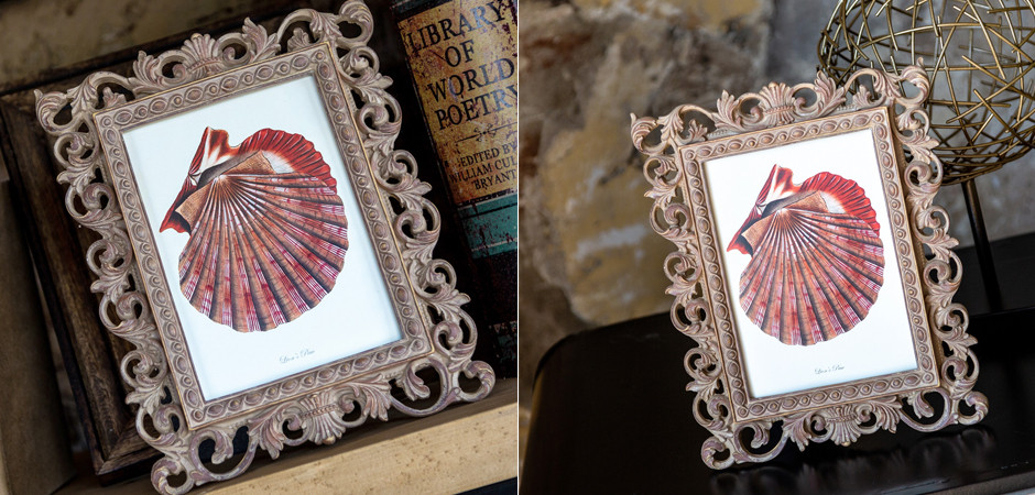 Постер Scarlet Scallop