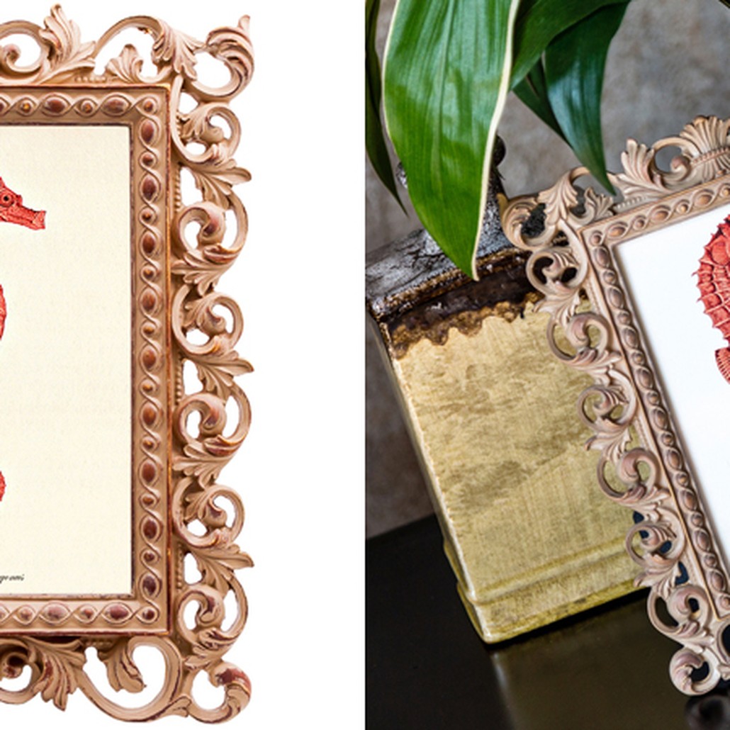 Постер Red Seahorse Poster