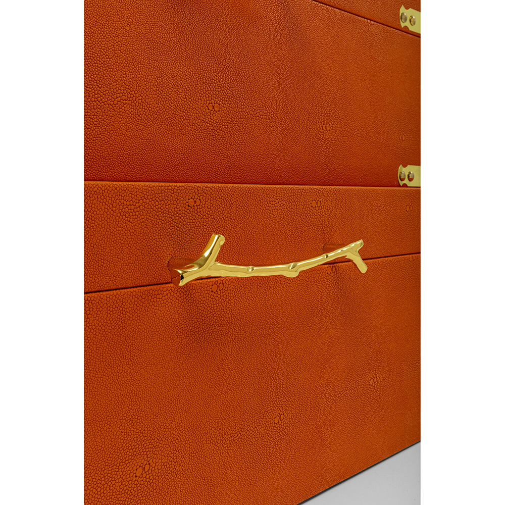 Комплект оранжевых чемоданов Golden Twigs