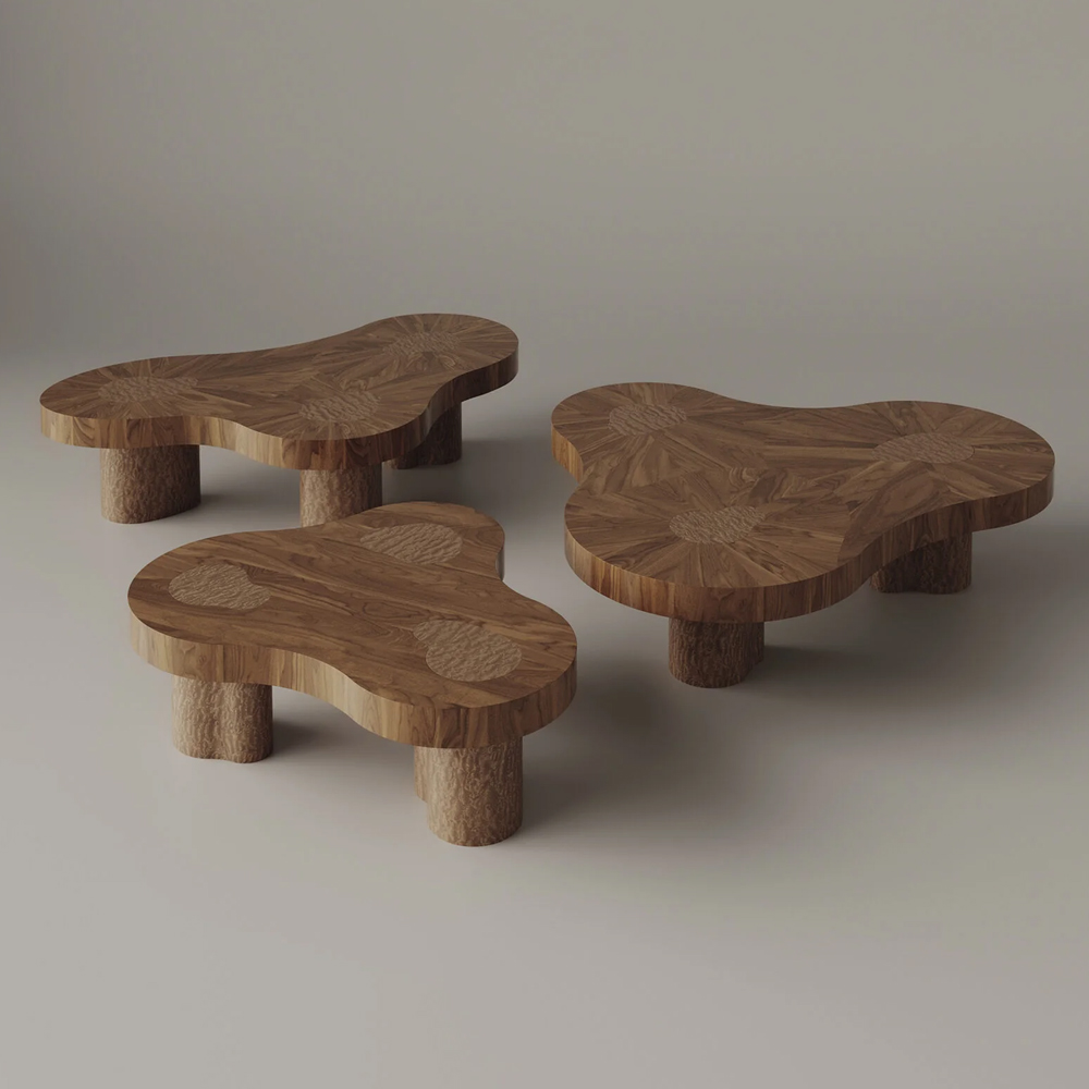 Журнальный стол с ассиметричной столешницей Eastward Grounds