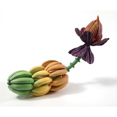 Авторский аксессур Tropical Fruit Pandora 71