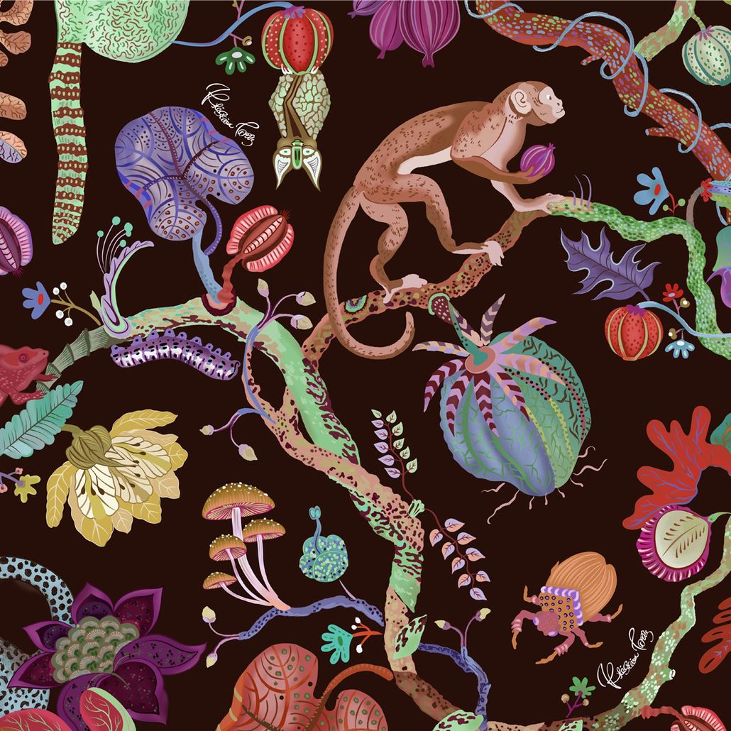 Мебельная ткань Madagascar Terracotta Велюр N 3-1565